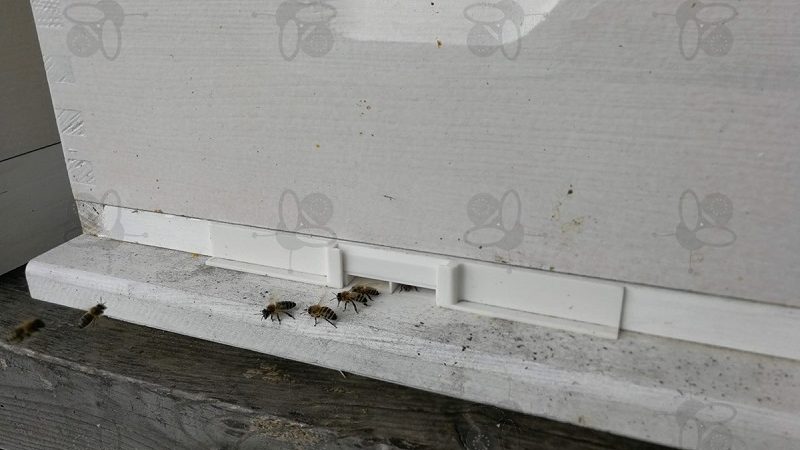 Die Raserei des Bienenraubs
