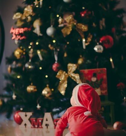 Tipps zum Kauf des besten Weihnachtsbaums für Ihr Zuhause