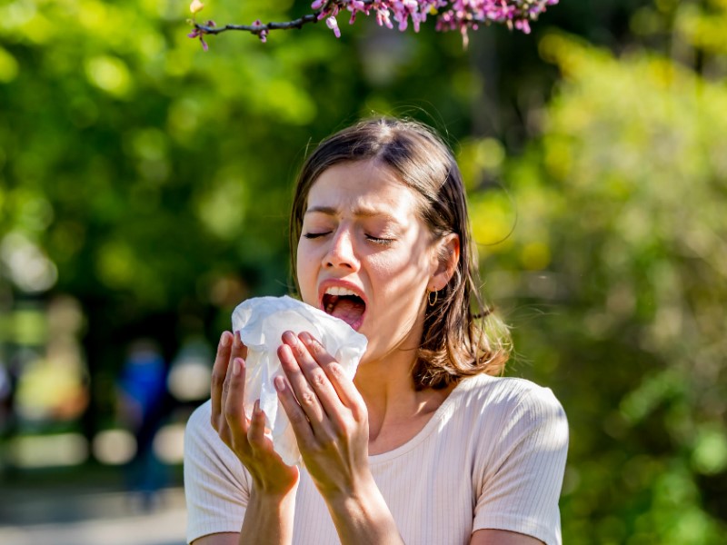 Quercetin kann Allergiepatienten als natürliches Antihistaminikum wirken. 