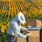 Bienenstockwerkzeuge