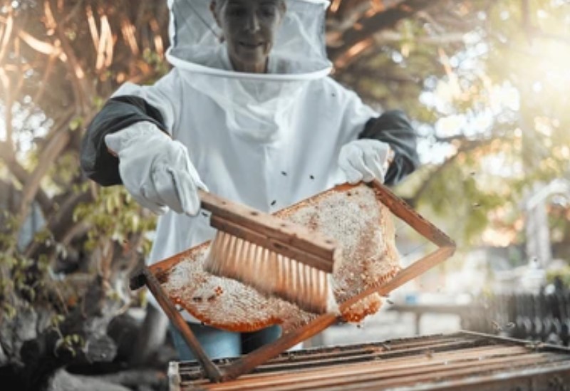 Bienenbesen Bienestockwerkzeuge