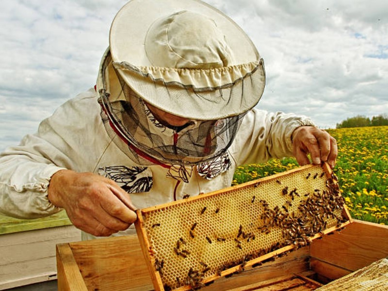 Imkeranzug und Bienenstockwerkzeuge