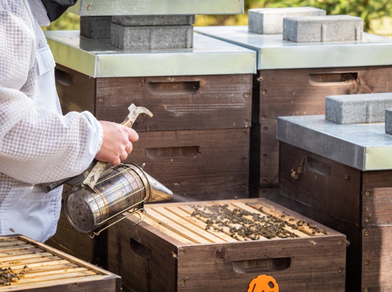 Bienenstockwerkzeuge fürs Bienenstock